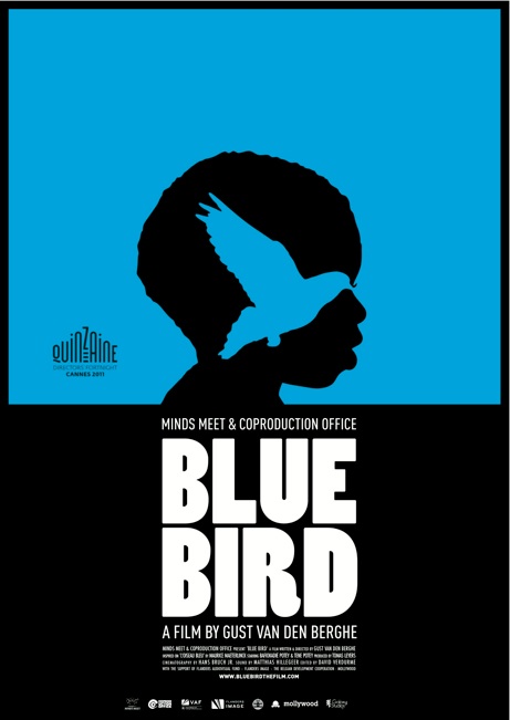  BLUE BIRD
